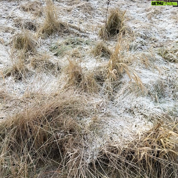 Joanna Moro - 574 Likes - Nawet zęby zmarzły 😁❄️
Ale serce ciepłe.
Spokojnych, prawdziwych Świąt – takich, które grzeją od środka 💙🎄