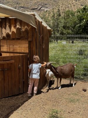Jocelyn Osorio Instagram - No screens.
No rush.
Just rivers, goats, muddy shoes, quiet walks, and tiny hands holding mine. @cascadadelasanimas 🤍
Sin pantallas.
Sin prisa.
Solo ríos, cabritas, zapatos con barro, caminatas lentas y manitos agarrando las mías.
This is the kind of luxury that actually fills you.
The kind your kids will remember.
Este es el lujo que de verdad te llena.
El que tus hijos van a recordar.
Cajón del Maipo · Cascadas de las Ánimas 🤍
#SlowLuxuryLiving #CajonDelMaipo #TravelWithKids #ChileMagico #motherhoodunplugged