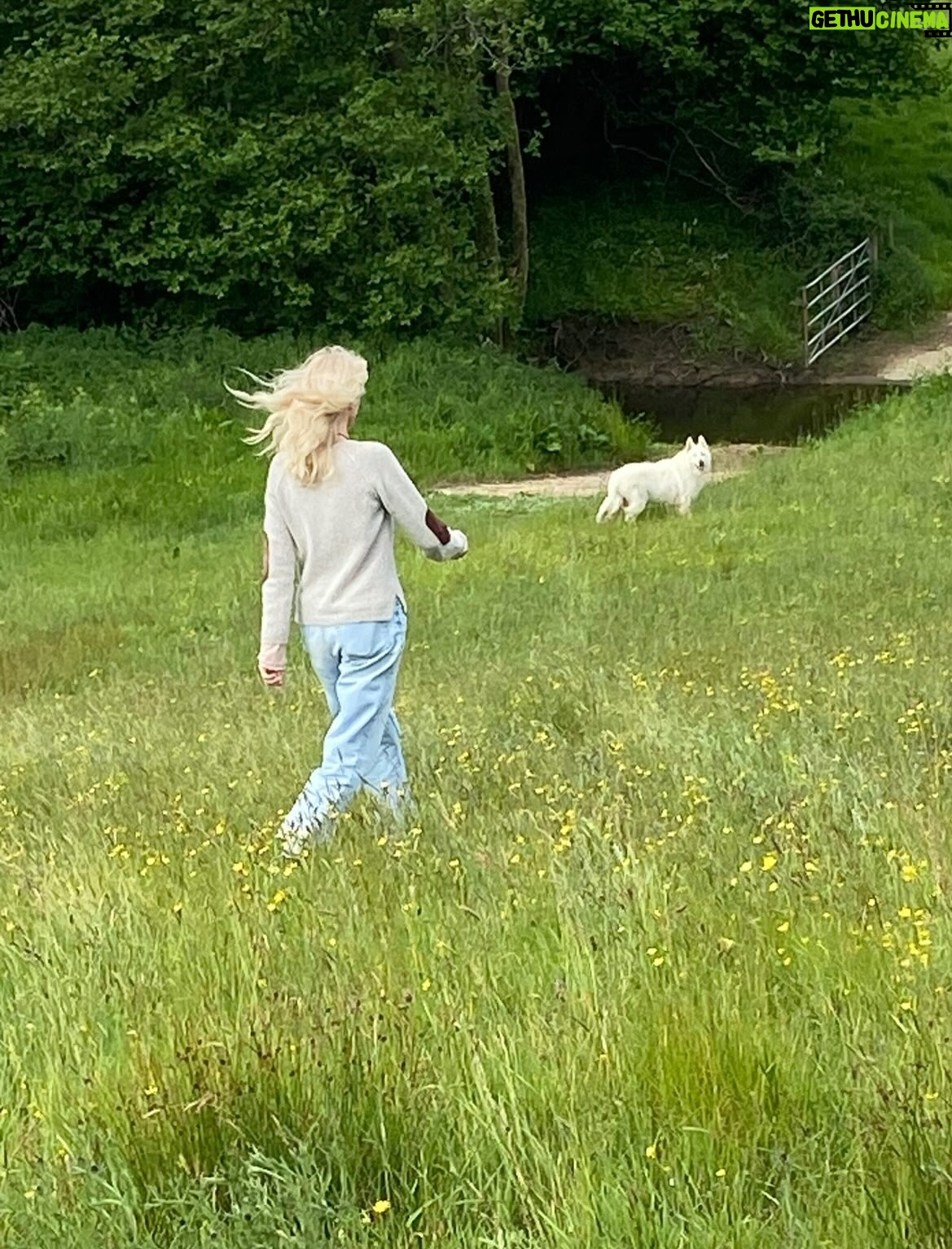 Joely Richardson - 5.6K Likes - Lucky enough to have another Birth Day yesterday. Thankyou for all the messages. These photos were taken last summer staying with @cosimasomerset . Woke up to the news of magnificent Bear’s departure to another realm- roam on beautiful beast-10 shared years. To love and be loved. So grateful ♥️
