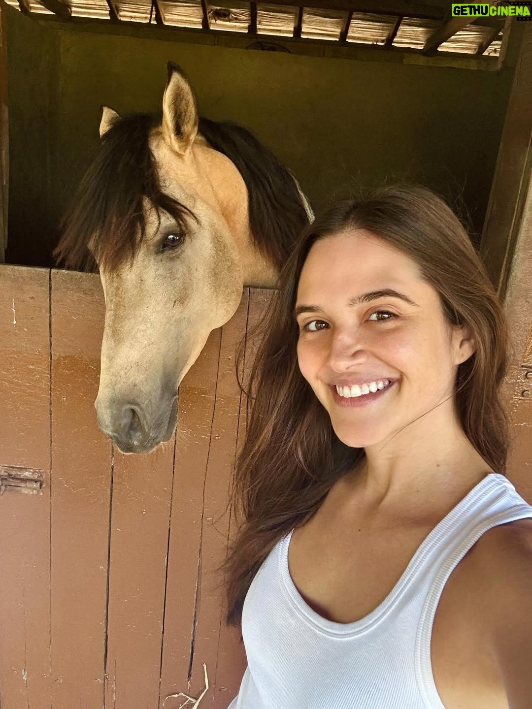 Juliana Paiva - 64.6K Likes - Quando o set de gravação é dentro de um haras e entre uma cena e outra vc consegue dar uma escapadinha pra namorar essas fofuras! 🙌🏼🥰🐴✨