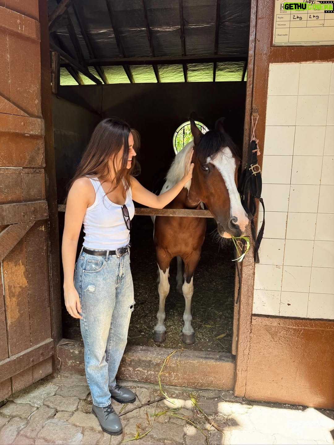 Juliana Paiva - 64.6K Likes - Quando o set de gravação é dentro de um haras e entre uma cena e outra vc consegue dar uma escapadinha pra namorar essas fofuras! 🙌🏼🥰🐴✨