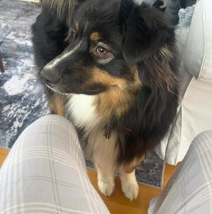 Julie Bélanger Instagram - En ce 25 décembre, un mot pour vous remercier pour vos très nombreux et gentils messages! Toute la petite famille va bien dans les circonstances. On le sait bien que ce n’est que du matériel et que, malgré tous les inconvénients et bouleversements que ça provoque, on est chanceux malgré tout. On a un réseau d’amis aimants, de la famille tricotée serrée, c’est précieux. C’est d’ailleurs chez ma belle-sœur qu’on a pu se déposer au cours des derniers jours, un petit cocon charmant où tout le monde a pu retrouver son souffle. Merci Nath ❤️
PS: Si jamais vous cherchez un nid chaleureux sur le bord du fleuve à Contre-coeur, il est à vendre 😉
https://remax-imagineprivilege.com/fr/nos-proprietes/contrecoeur/80-rue-viau/20229612