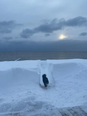 Julie Bélanger Instagram - 2025 a été une année de vent dans face. Des vents qui décoiffent, déstabilisent, étourdissent. Mais à travers la tempête: la famille, les amis, l’amour. Le beau temps revient toujours. Bienvenue 2026, très heureuse de te voir arriver! ❤️🥂✨💫