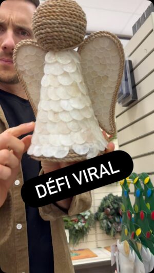 Julie Ringuette Instagram - Pour le défi viral de la semaine, on embarque dans le trend « avez-vous… » 🤪  #HomeSenseFinds #Winners #SalutBonjour