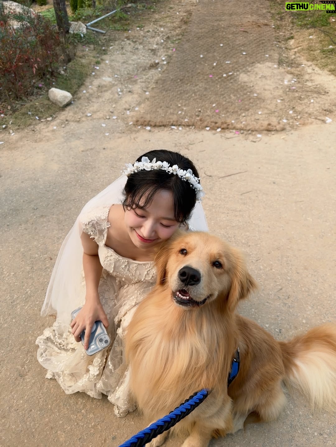 Jung Bo-min - 243.2K Likes - 슬아 행복해💐💍
마지막 썸머 안녕🍃
감사합니다..🤍🪽