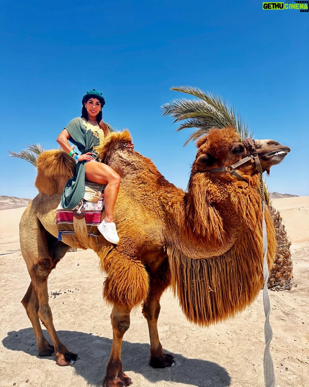 Karen Dejo - 17.6K Likes - Un día hermoso en Ica con mi bb y mi novio 🐪💕
#love #ica #dromedary #goodvibes