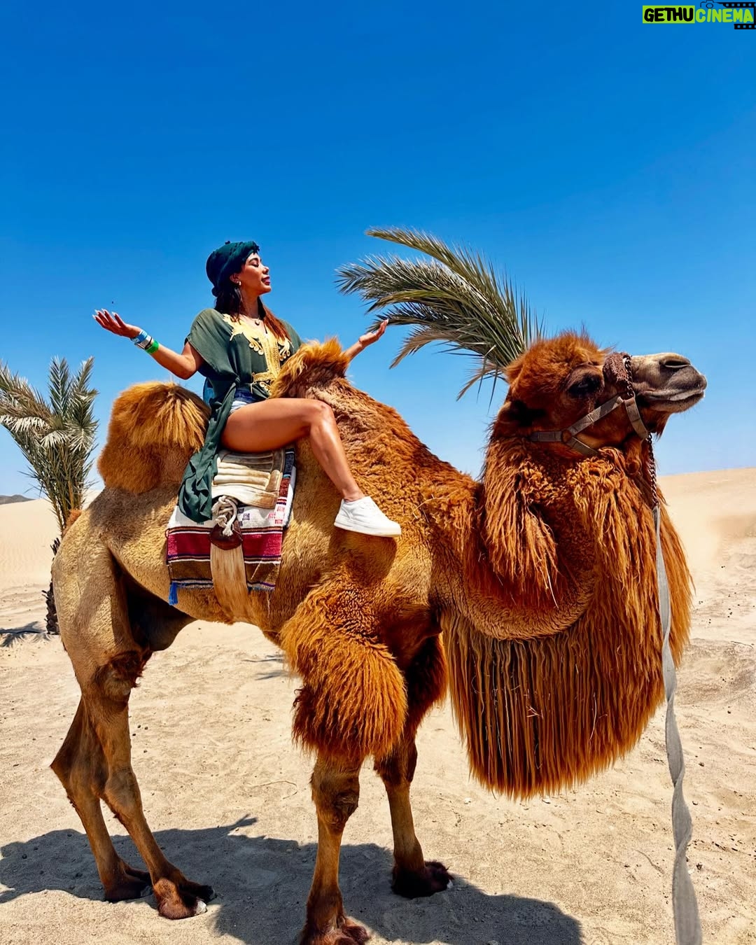 Karen Dejo - 17.6K Likes - Un día hermoso en Ica con mi bb y mi novio 🐪💕
#love #ica #dromedary #goodvibes