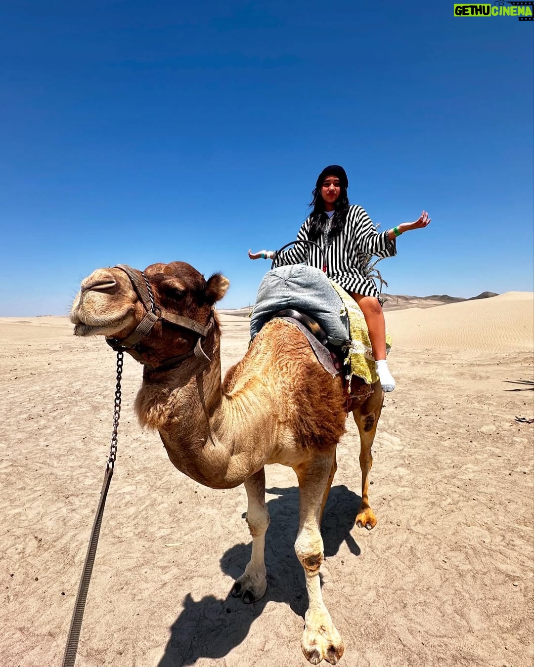 Karen Dejo - 17.6K Likes - Un día hermoso en Ica con mi bb y mi novio 🐪💕
#love #ica #dromedary #goodvibes