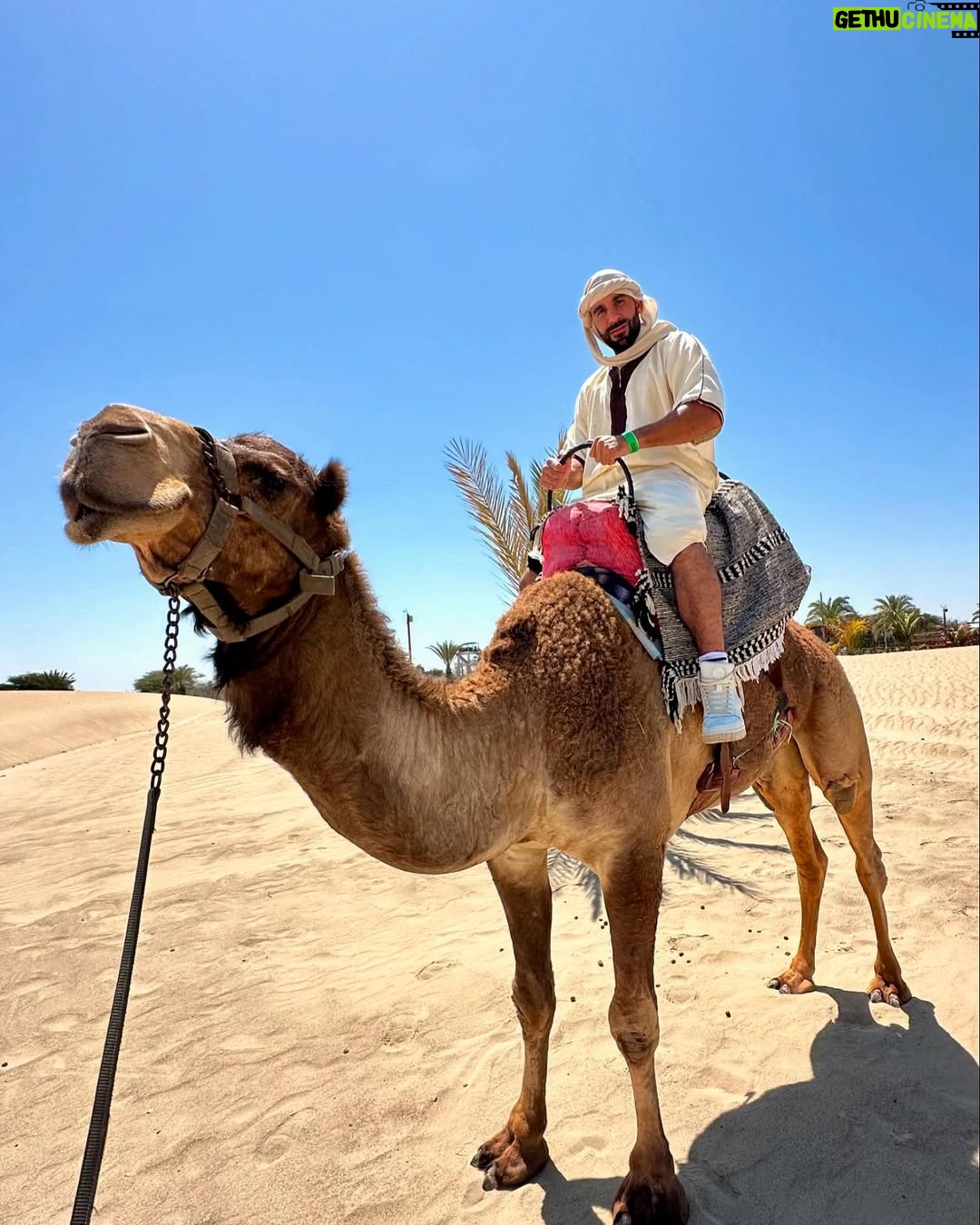 Karen Dejo - 17.6K Likes - Un día hermoso en Ica con mi bb y mi novio 🐪💕
#love #ica #dromedary #goodvibes