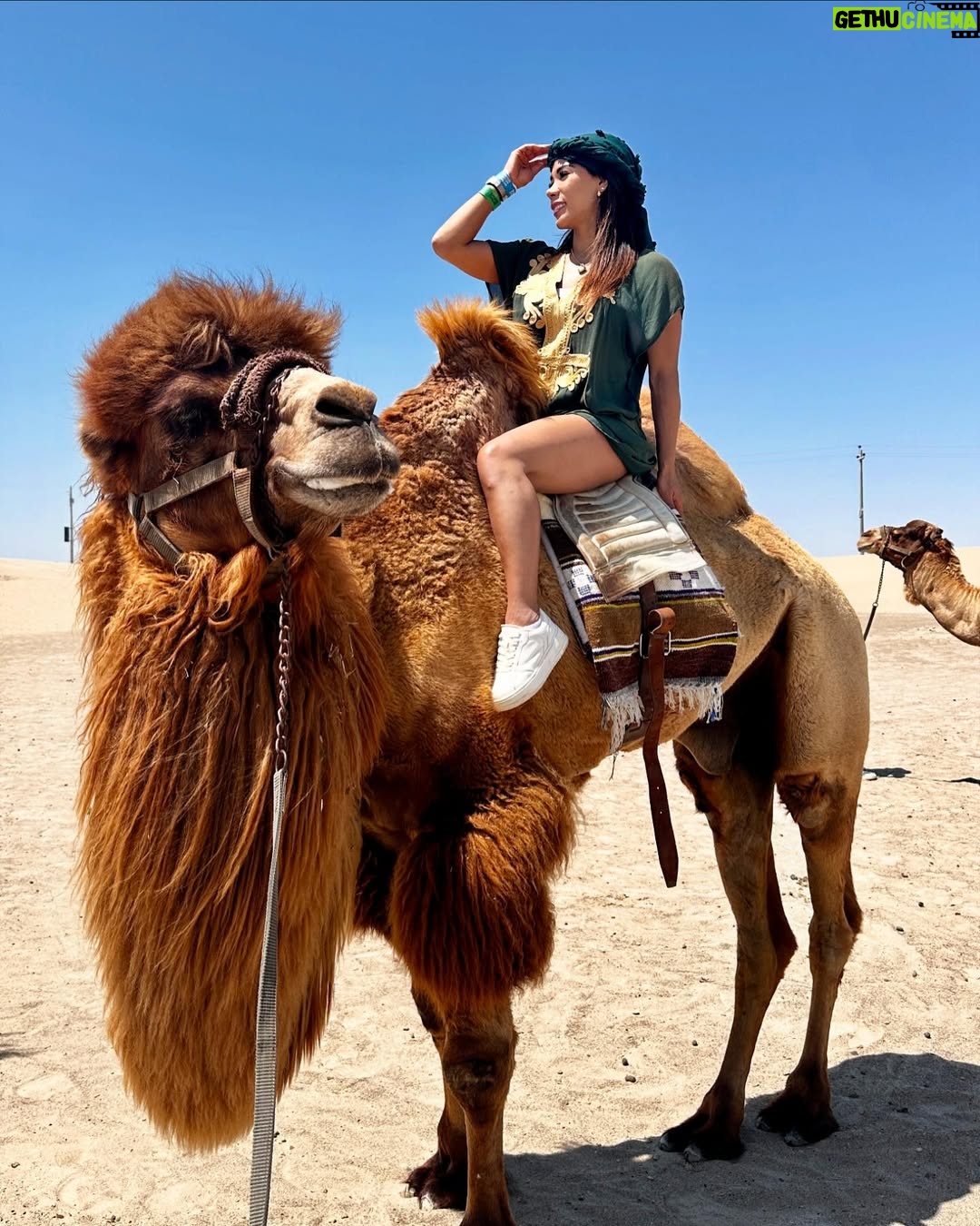 Karen Dejo - 17.6K Likes - Un día hermoso en Ica con mi bb y mi novio 🐪💕
#love #ica #dromedary #goodvibes