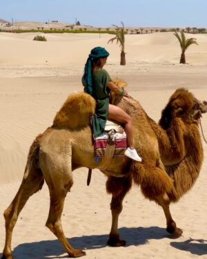 Karen Dejo Instagram - Un día hermoso en Ica con mi bb y mi novio 🐪💕
#love #ica #dromedary #goodvibes