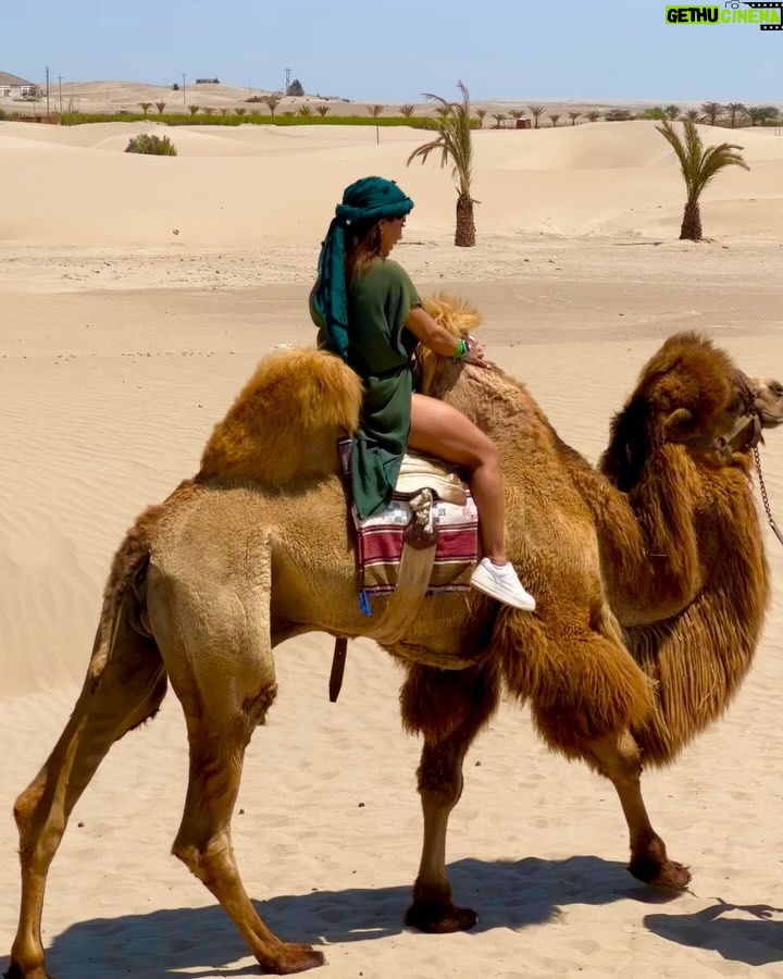 Karen Dejo - 17.6K Likes - Un día hermoso en Ica con mi bb y mi novio 🐪💕
#love #ica #dromedary #goodvibes