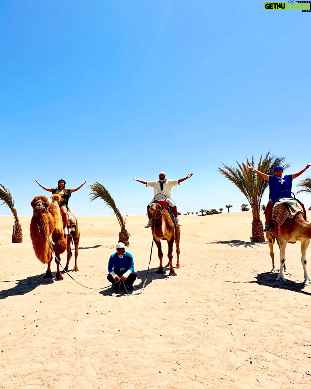 Karen Dejo - 17.6K Likes - Un día hermoso en Ica con mi bb y mi novio 🐪💕
#love #ica #dromedary #goodvibes