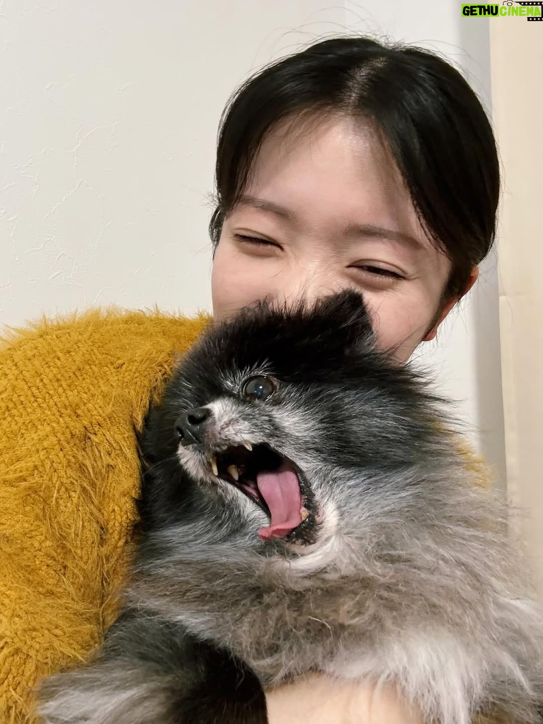 Karen Miyama - 3.4K Likes - 29歳になりました☺︎
ちっちゃい怪獣と一緒に良き歳にします🍙

マネージャーさんヘアメイクさんスタイリストさんのお馴染みチームや、声優の先輩、
あにレコでもお祝いしていただきました
井上さん毎年プレゼントありがとうございました🙏