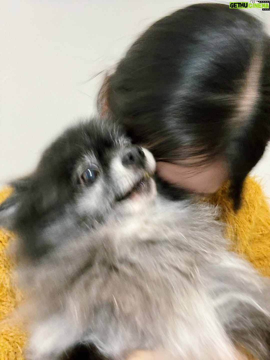 Karen Miyama - 3.4K Likes - 29歳になりました☺︎
ちっちゃい怪獣と一緒に良き歳にします🍙

マネージャーさんヘアメイクさんスタイリストさんのお馴染みチームや、声優の先輩、
あにレコでもお祝いしていただきました
井上さん毎年プレゼントありがとうございました🙏