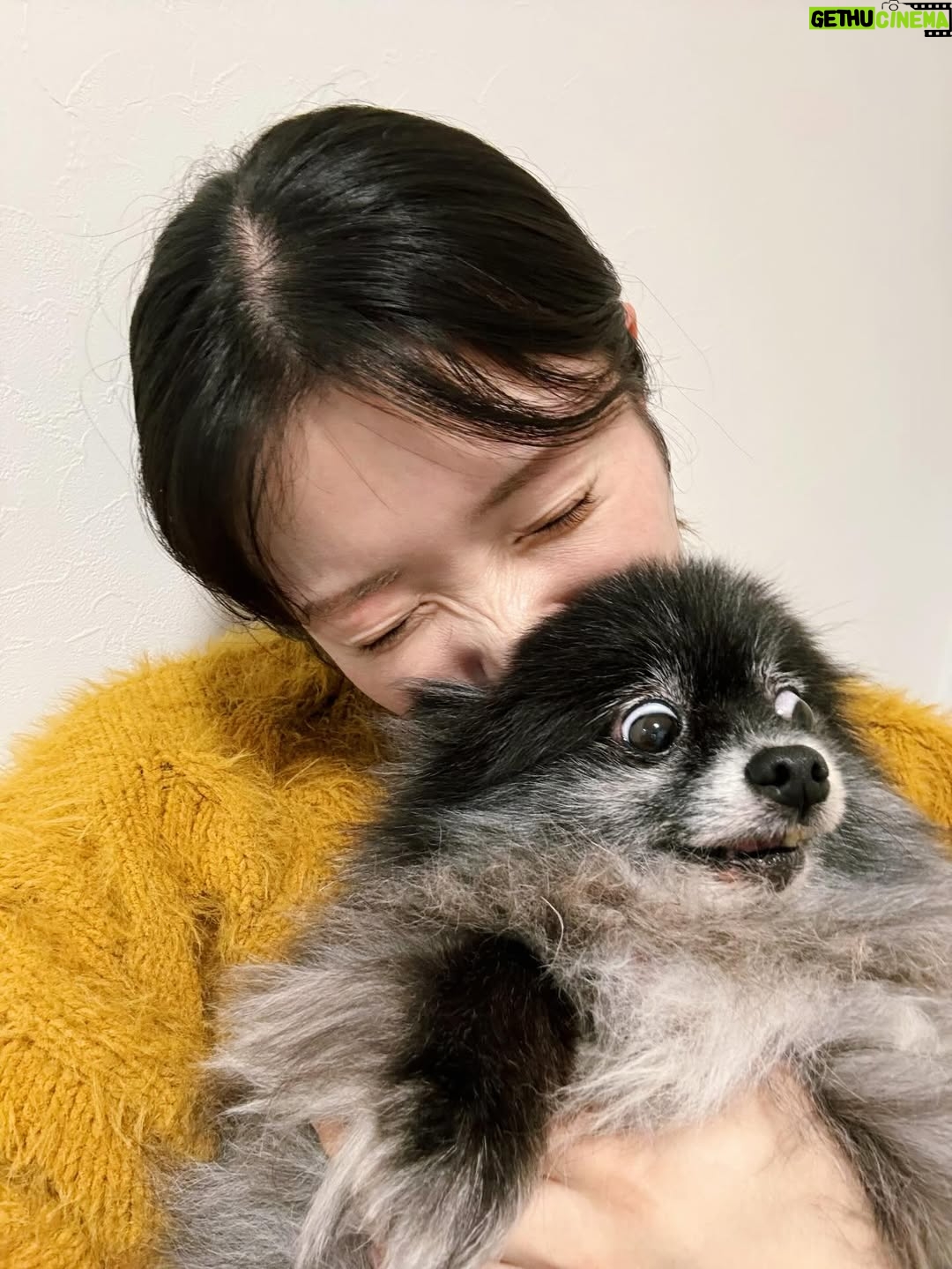 Karen Miyama - 3.4K Likes - 29歳になりました☺︎
ちっちゃい怪獣と一緒に良き歳にします🍙

マネージャーさんヘアメイクさんスタイリストさんのお馴染みチームや、声優の先輩、
あにレコでもお祝いしていただきました
井上さん毎年プレゼントありがとうございました🙏