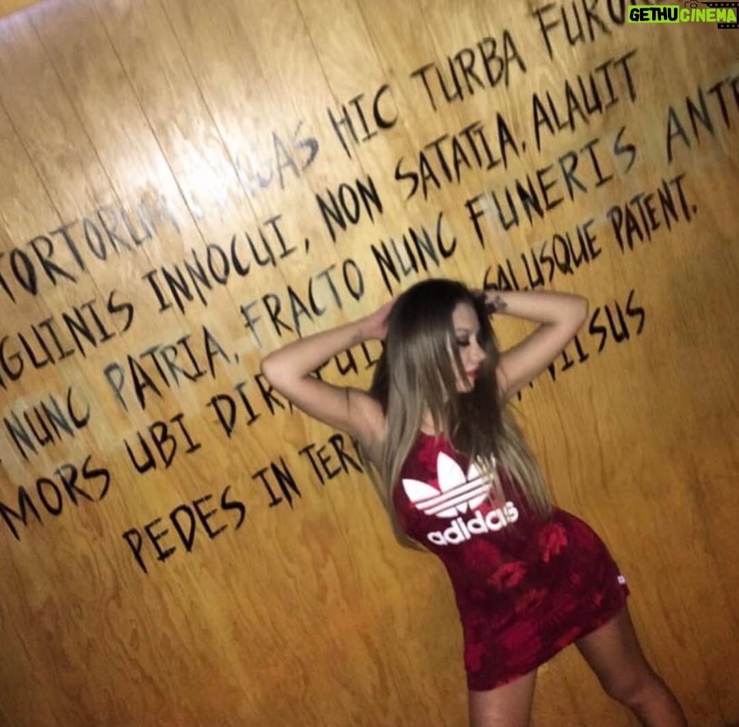 Karime Pindter - 184.7K Likes - #tbt 2016, de cachorrita a perra con pedigree. Cada etapa de tu vida es hermosa y nunca volvera, abrazala🩵🩵🩵