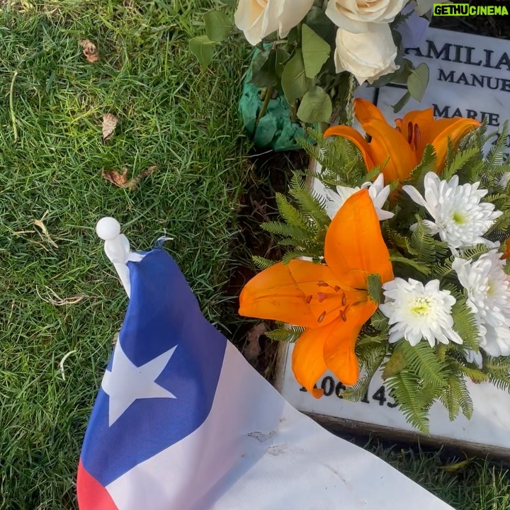 Karla Rubilar - 72.2K Likes - A año y medio de su partida, lo echamos tanto de menos, Presidente. No tiene idea cuánto.
En estos tiempos tan difíciles y polarizados, pienso seguido en qué nos diría usted. Cuánto me gustaría poder llamarlo, contarle lo que está pasando y pedirle uno de esos consejos suyos, llenos de convicción, datos y humanidad.
Su hija, @manepinera, ha sido un bálsamo. Porque tiene tanto de usted: esa fuerza serena, esa inteligencia práctica, esa fe en que sí se puede. Acá seguimos diciendo “Arriba los corazones”