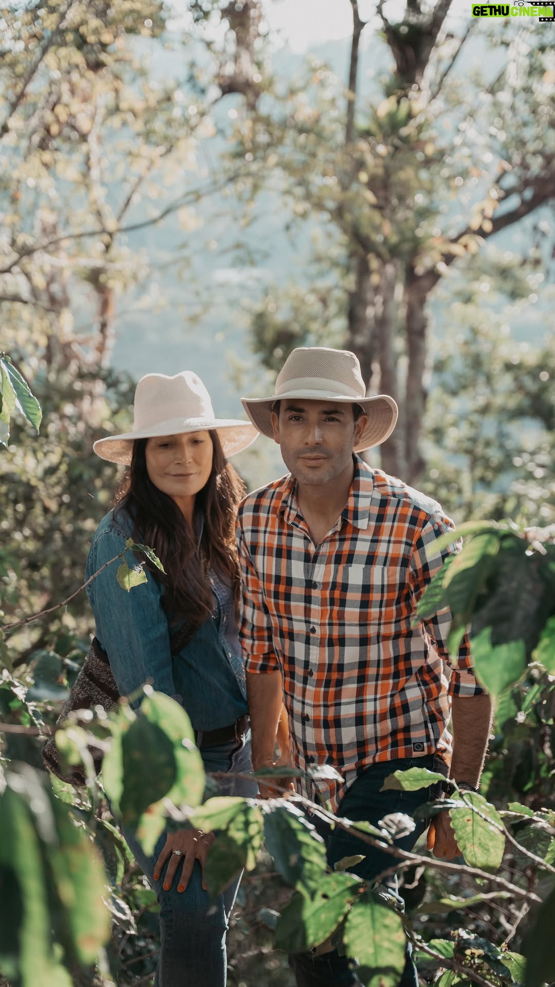 Kathy Saenz - 41.1K Likes - ¡¡Nuestra primera cosecha de café!! ❤️
Un proyecto de Tian y mío que nace del amor, el Amor por la naturaleza, el amor por nuestro matrimonio y nuestra familia, y obviamente un Amor profundo por el Café☕️Un cafetal hecho con Amor desde la semilla para compartirlo con todos ustedes y que también reciban un poco de este gran Amor❤️❤️❤️❤️