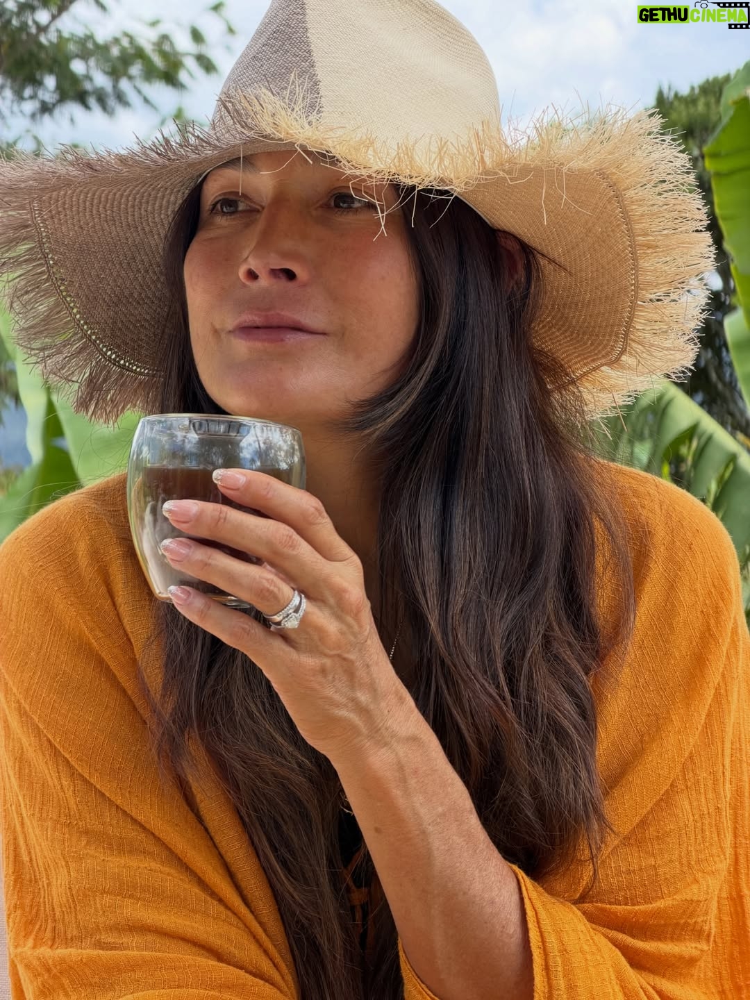 Kathy Saenz - 60.2K Likes - Tanta magia … maravillas nutriendo lo profundo del alma… el corazón rebosa de agradecimiento por el ayer y el hoy de siempre… 
Un nuevo ciclo evolucionando …feliz 2026🌟