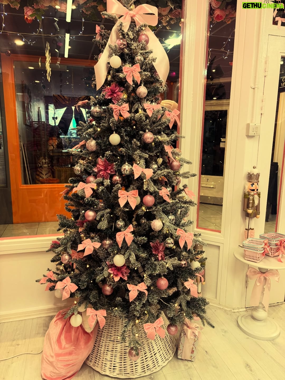 Kavita Ghai - 1.2K Likes - Christmas may have packed up its lights, but the magic stays on because a brand new year is about to begin🎄✨