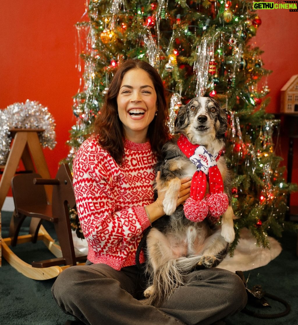 Kelly Thiebaud - 16.1K Likes - It’s that time of year again! Our annual Christmas photo. The Christmas photo you didn’t know you needed, but you obviously do! Whiskey is such a sport and thank goodness we got a few smiling shots! Happy holidays, everyone. It’s the most wonderful time of the year. Love to all. Xo