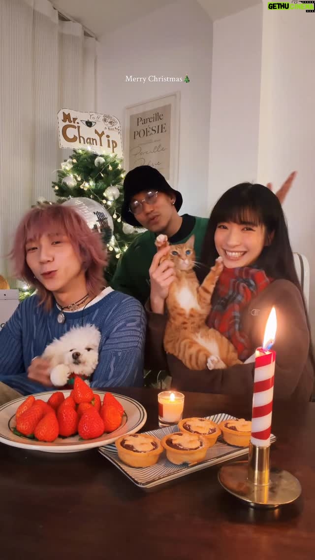 Kira Chan - 4.4K Likes - 即興尋找I find my self 小cover🎄✨❄️
#merrychristmas