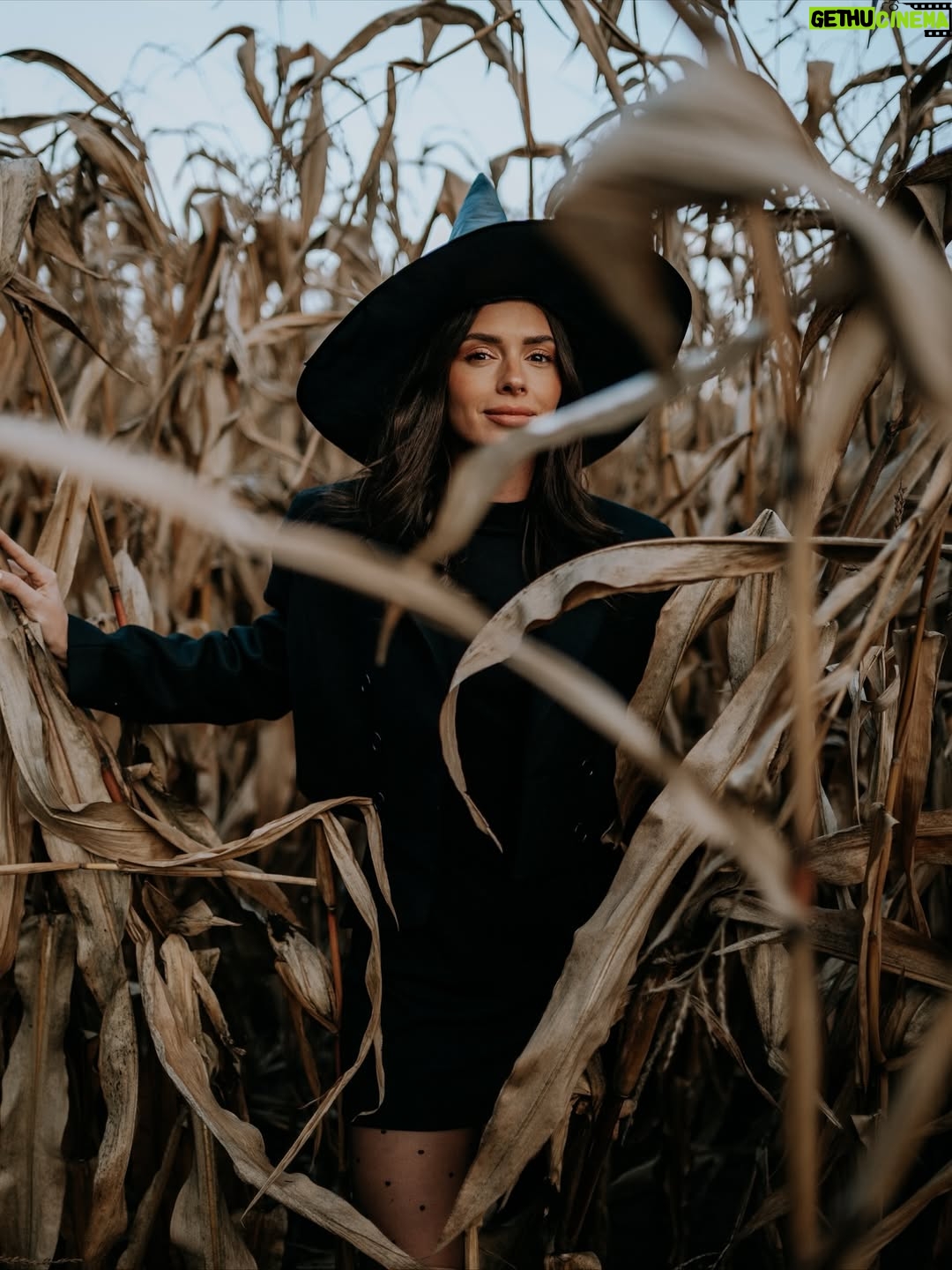 Klaudia Halejcio - 46K Likes - Witch vibes 🤭❤️

A Wy jak spędzacie Halloween? 🎃