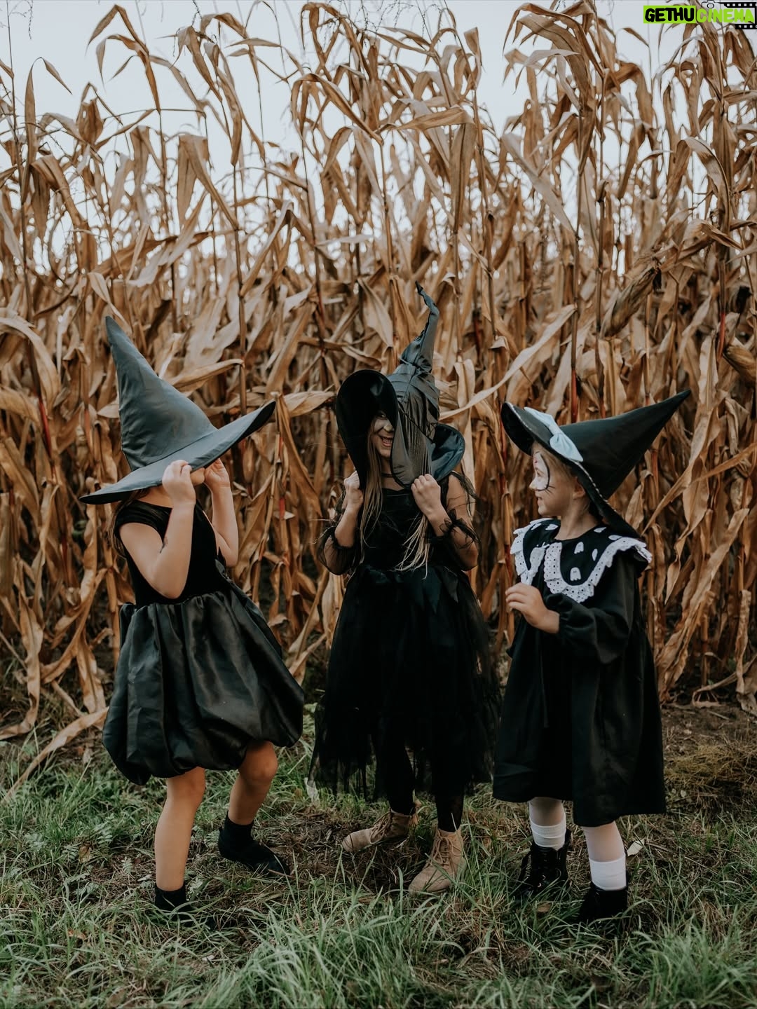 Klaudia Halejcio - 46K Likes - Witch vibes 🤭❤️

A Wy jak spędzacie Halloween? 🎃