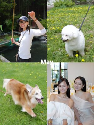 Kotoko Yamaga Instagram - 2025年もありがとうございました。
良いお年をお迎えくださいませ🐾