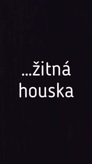 Ladislava Něrgešová Instagram - Postup video- Recept hýr:
300g žitná celozrnná hladká @pernerka.cz 
150g špaldová celozrnná hladká
2-3 lžíce psyllia
2 lžičky soli a kmín
1/2 droždí čerstvé (21g)
olivový olej
330ml vody

směs semínek (dýňová sezam slunečnicová nebo vločky)
Těsto hodinu kyne. 
Bochánky kynout další půl hodinu
A pečeme cca na 190C asi 25-30 minut. 
Dobrou chuť! #zitnahouska #zitnamouka #pernerka #spoluprace #spolutoupeceme #dobrouchut
