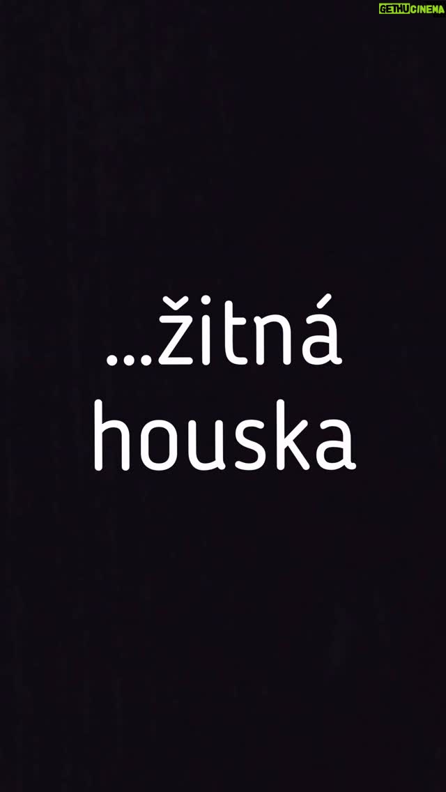 Ladislava Něrgešová - 2.9K Likes - Postup video- Recept hýr:
300g žitná celozrnná hladká @pernerka.cz 
150g špaldová celozrnná hladká
2-3 lžíce psyllia
2 lžičky soli a kmín
1/2 droždí čerstvé (21g)
olivový olej
330ml vody

směs semínek (dýňová sezam slunečnicová nebo vločky)
Těsto hodinu kyne. 
Bochánky kynout další půl hodinu
A pečeme cca na 190C asi 25-30 minut. 
Dobrou chuť! #zitnahouska #zitnamouka #pernerka #spoluprace #spolutoupeceme #dobrouchut