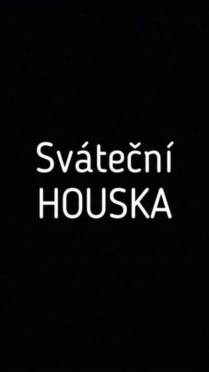 Ladislava Něrgešová Instagram - Sváteční houska se ,,sejrem,,. 🌸 No né asi…😂 Recept hýr:

250ml mléka
1/4 droždí
cukr
————15 minut 
125ml oleje  máslo (2-3 lžíce)
1 vejce
550g polohrubé mouky @pernerka.cz 
a SŮL
———— 1 hodina
Květiny se sýrem potřeme vejcem, a přidáme sezam. 
Pečeme cca 17-20 minut na 170C
Nejíst teplé! Dobrou chuť!
#housky #svatecnihousky #houskykvetina #moukapernerka #polohrubamouka #pernerka #pecemenasvatky #spoluprace #spolutoupeceme #todas