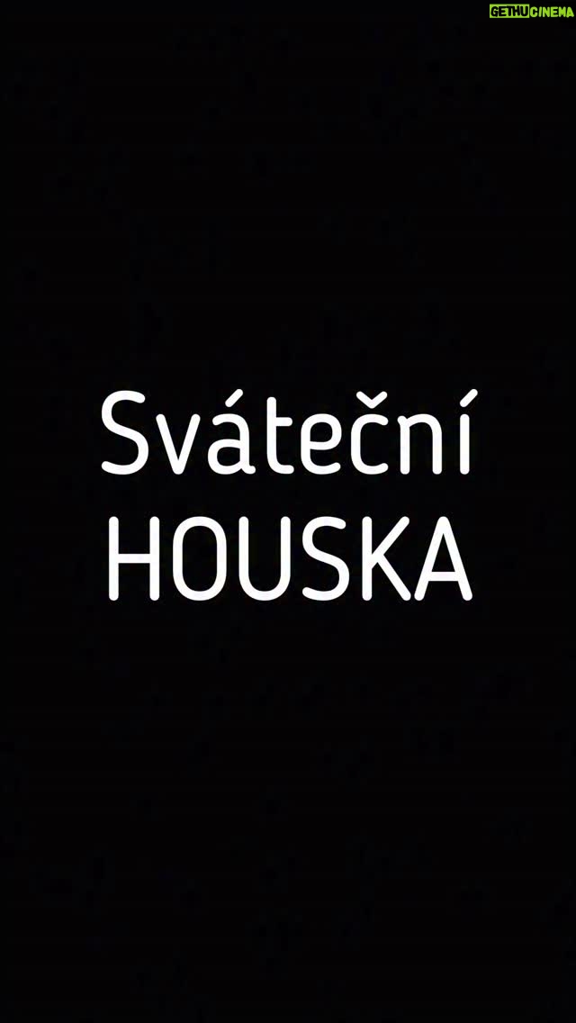 Ladislava Něrgešová - 5.2K Likes - Sváteční houska se ,,sejrem,,. 🌸 No né asi…😂 Recept hýr:

250ml mléka
1/4 droždí
cukr
————15 minut 
125ml oleje  máslo (2-3 lžíce)
1 vejce
550g polohrubé mouky @pernerka.cz 
a SŮL
———— 1 hodina
Květiny se sýrem potřeme vejcem, a přidáme sezam. 
Pečeme cca 17-20 minut na 170C
Nejíst teplé! Dobrou chuť!
#housky #svatecnihousky #houskykvetina #moukapernerka #polohrubamouka #pernerka #pecemenasvatky #spoluprace #spolutoupeceme #todas