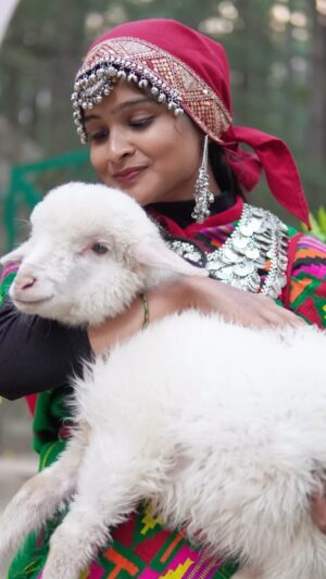 Lavanya Instagram - Merged with the tradition “ MANALI diaries “ 

#viralreels #viral #viralvideos #instaviral #instagramreels #instagram #instagood #instalike #instagramindia #explorepage✨ #goviral #shashilavanya
