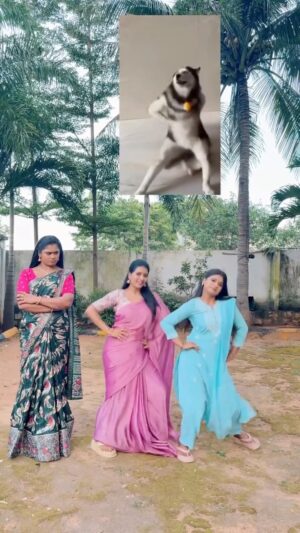 Lavanya Instagram - Might delete later 🤪 Watch it now 🥰