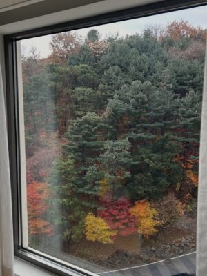 Lee Jin-ha Instagram - 어딘가 조금 이상한 여자는 아직 가을이라 우긴다 🤎