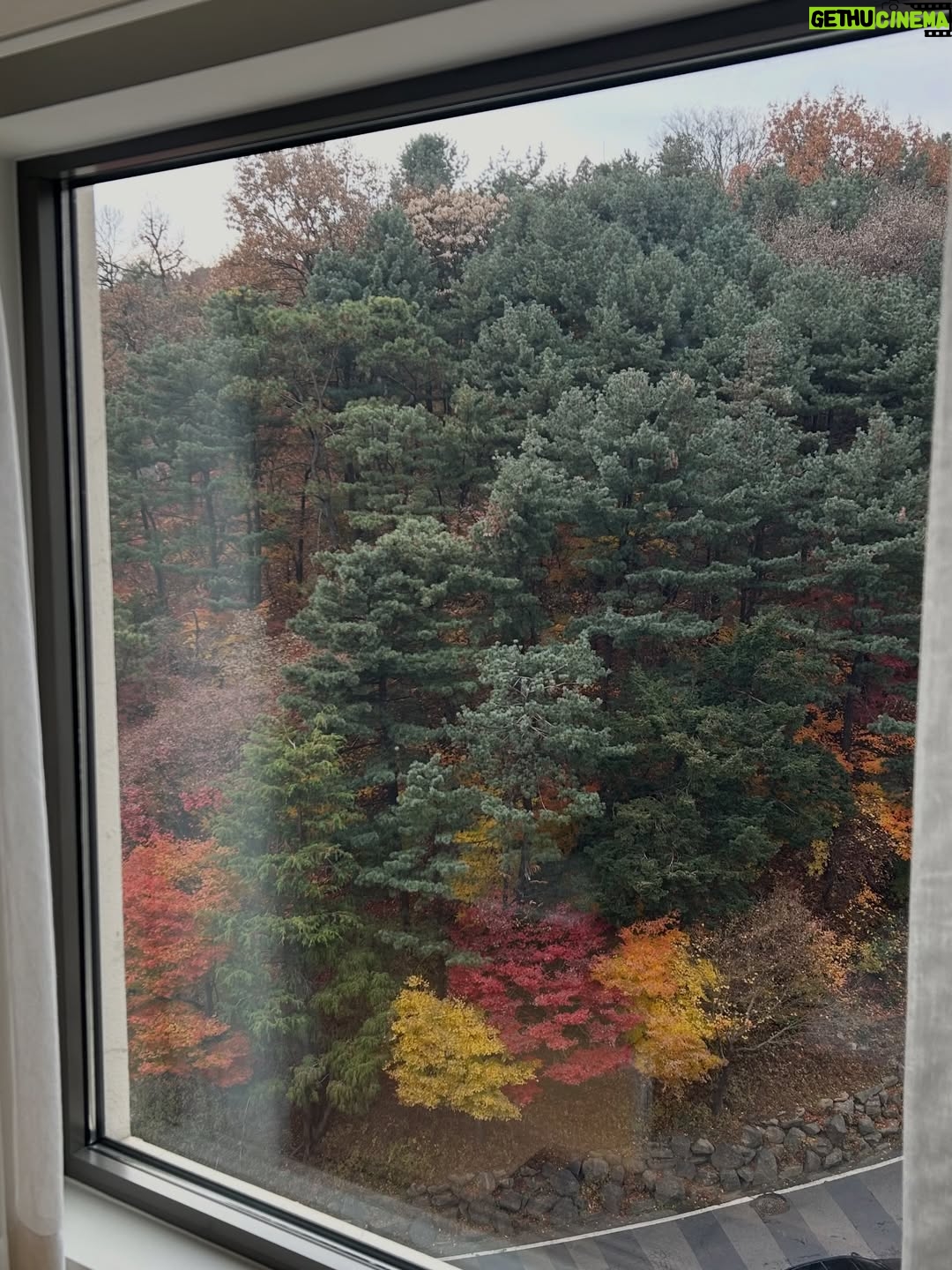 Lee Jin-ha - 6.4K Likes - 어딘가 조금 이상한 여자는 아직 가을이라 우긴다 🤎