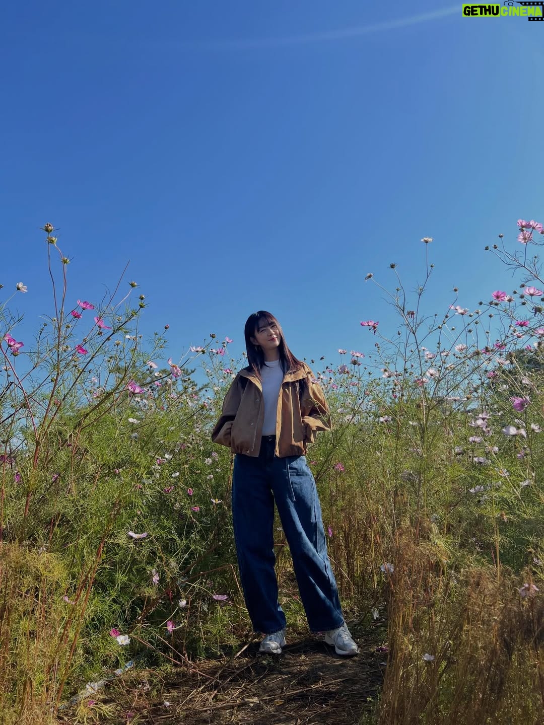 Lee Yo-won - 2.2K Likes - Goodbye autumn 👋🏻