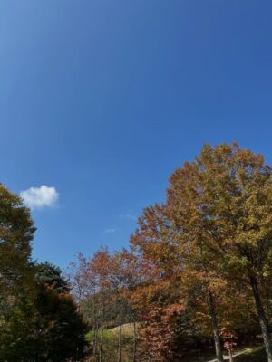 Lee Yo-won Instagram - Goodbye autumn 👋🏻