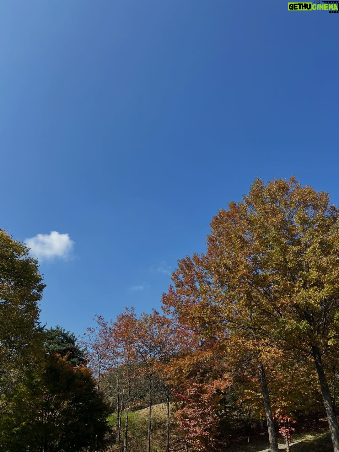 Lee Yo-won - 2.2K Likes - Goodbye autumn 👋🏻