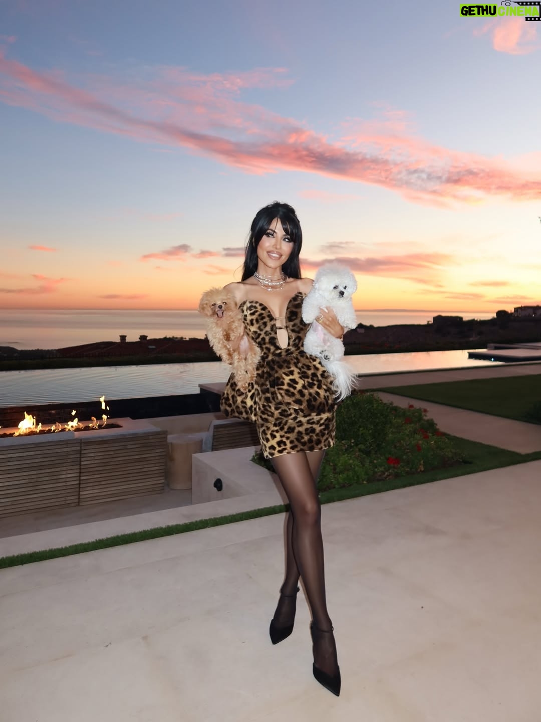 Leyla Milani - 32.8K Likes - Heart & tummy was full. Happy Thanksgiving, everyone. Special thanks to my incredibly talented caterer @eclate_events who went above & beyond. Gorgeous tablescape by @fancy_tables florals by the one & only @_ayflowers_ and beautiful candles by @flamesbysabrina