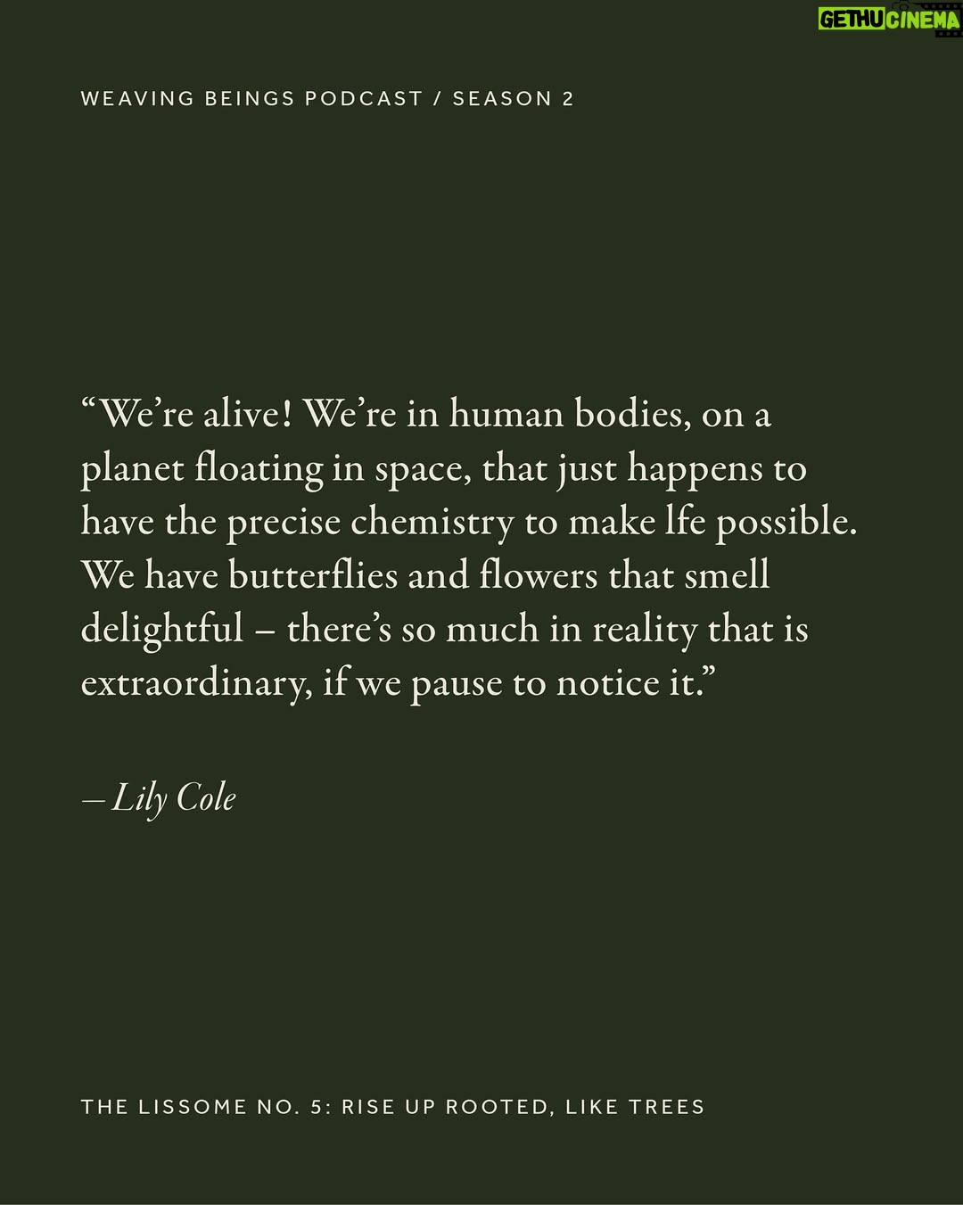 Lily Cole - 0.9K Likes - From fashion runways to forest paths, Lily Cole’s journey has moved between worlds.

In our opening episode, she speaks of what has shifted – her relationship to activism, the need for nuance, and how joy, gratitude and inner peace can become radical practices in an age of overwhelm.

The conversation is now live – and we invite you to listen. Link in bio.
 Team Credits:
Talent: Lily Cole @lilycole @imgmodels Interview: Hardeep Kaur @hardeep.earth Creative Direction: Dörte de Jesus @dortedejesus Audio Producer @ivandavoine  Photography: Thea Caroline Sneve Løvstad @theasnevelovstad  Styling: Aartthie Mahakuperan @aartthie Production: Ellen Nevrokopska @ellennevro 
Makeup: Joanna Banach @jobanach Hair: Lachlan Mackie @lachlanmackie Styling Assistant: Tilly Hopcraft @tillyhopcraft Photography Assistant: Callum Su @callum_su 
Retouch: Laura Cammarata
Film Development: Chan Photographic @chan.photographic

#WeavingBeings #TheLissome #LilyCole #RootedAndRising  #SlowMedia #RegenerativeCulture