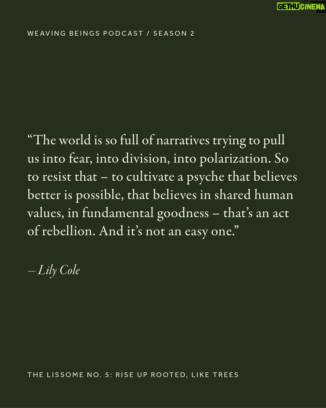 Lily Cole - 0.9K Likes - From fashion runways to forest paths, Lily Cole’s journey has moved between worlds.

In our opening episode, she speaks of what has shifted – her relationship to activism, the need for nuance, and how joy, gratitude and inner peace can become radical practices in an age of overwhelm.

The conversation is now live – and we invite you to listen. Link in bio.
 Team Credits:
Talent: Lily Cole @lilycole @imgmodels Interview: Hardeep Kaur @hardeep.earth Creative Direction: Dörte de Jesus @dortedejesus Audio Producer @ivandavoine  Photography: Thea Caroline Sneve Løvstad @theasnevelovstad  Styling: Aartthie Mahakuperan @aartthie Production: Ellen Nevrokopska @ellennevro 
Makeup: Joanna Banach @jobanach Hair: Lachlan Mackie @lachlanmackie Styling Assistant: Tilly Hopcraft @tillyhopcraft Photography Assistant: Callum Su @callum_su 
Retouch: Laura Cammarata
Film Development: Chan Photographic @chan.photographic

#WeavingBeings #TheLissome #LilyCole #RootedAndRising  #SlowMedia #RegenerativeCulture