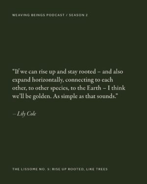 Lily Cole Instagram - From fashion runways to forest paths, Lily Cole’s journey has moved between worlds.

In our opening episode, she speaks of what has shifted – her relationship to activism, the need for nuance, and how joy, gratitude and inner peace can become radical practices in an age of overwhelm.

The conversation is now live – and we invite you to listen. Link in bio.
 Team Credits:
Talent: Lily Cole @lilycole @imgmodels Interview: Hardeep Kaur @hardeep.earth Creative Direction: Dörte de Jesus @dortedejesus Audio Producer @ivandavoine  Photography: Thea Caroline Sneve Løvstad @theasnevelovstad  Styling: Aartthie Mahakuperan @aartthie Production: Ellen Nevrokopska @ellennevro 
Makeup: Joanna Banach @jobanach Hair: Lachlan Mackie @lachlanmackie Styling Assistant: Tilly Hopcraft @tillyhopcraft Photography Assistant: Callum Su @callum_su 
Retouch: Laura Cammarata
Film Development: Chan Photographic @chan.photographic

#WeavingBeings #TheLissome #LilyCole #RootedAndRising  #SlowMedia #RegenerativeCulture