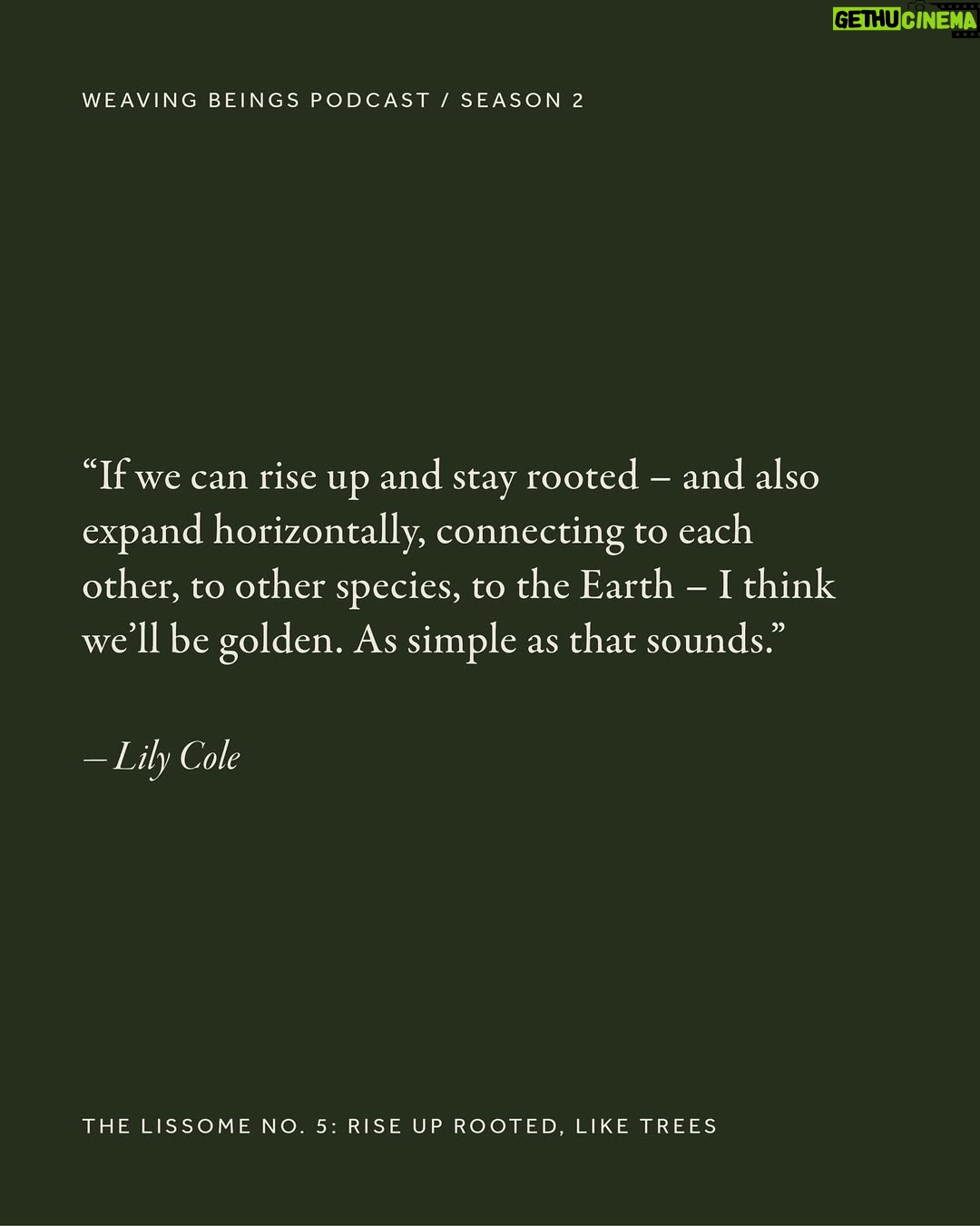 Lily Cole - 0.9K Likes - From fashion runways to forest paths, Lily Cole’s journey has moved between worlds.

In our opening episode, she speaks of what has shifted – her relationship to activism, the need for nuance, and how joy, gratitude and inner peace can become radical practices in an age of overwhelm.

The conversation is now live – and we invite you to listen. Link in bio.
 Team Credits:
Talent: Lily Cole @lilycole @imgmodels Interview: Hardeep Kaur @hardeep.earth Creative Direction: Dörte de Jesus @dortedejesus Audio Producer @ivandavoine  Photography: Thea Caroline Sneve Løvstad @theasnevelovstad  Styling: Aartthie Mahakuperan @aartthie Production: Ellen Nevrokopska @ellennevro 
Makeup: Joanna Banach @jobanach Hair: Lachlan Mackie @lachlanmackie Styling Assistant: Tilly Hopcraft @tillyhopcraft Photography Assistant: Callum Su @callum_su 
Retouch: Laura Cammarata
Film Development: Chan Photographic @chan.photographic

#WeavingBeings #TheLissome #LilyCole #RootedAndRising  #SlowMedia #RegenerativeCulture