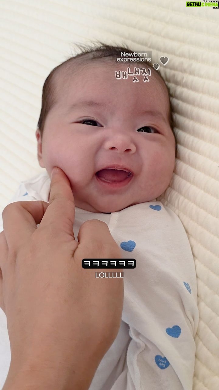 Lim La-la - 27.1K Likes - 두쫀쿠보다 말랑쫀득한 아기 볼살 1티어 왕만두😂 단이 
Baby cheeks like soft dumplings🥟
#강단남매 #쌍둥이 #육아 #손단 #sondan