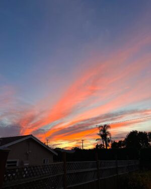 Lindsley Register Instagram - sailor’s delight ⛵️