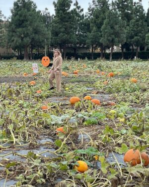 Lindsley Register Instagram - 🎃ctober