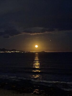 Litzy Instagram - Noche de Luna Lobo 🌕 

desde @pescaditobreak